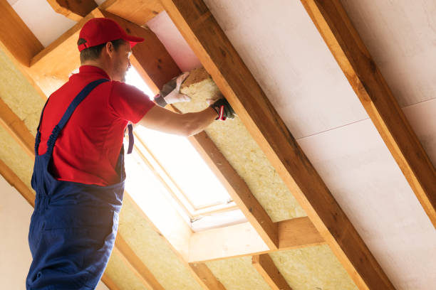 Best Garage Insulation  in Riverside, IL